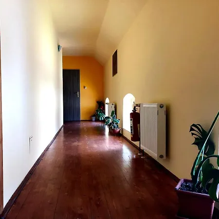 Penzion Jiricna Homestay *