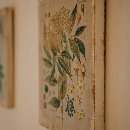 Penzion Jiricna Homestay szállás Jiřičná