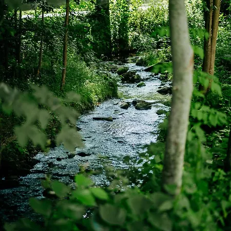 Penzion Jiricna Homestay szállás *